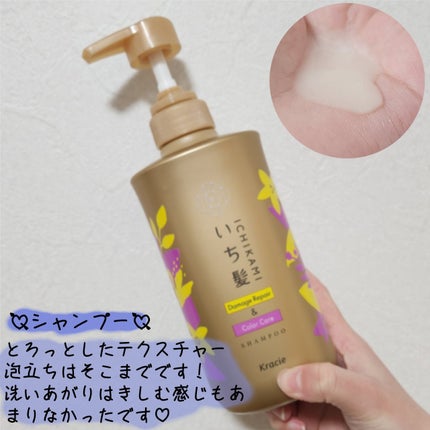 ãã¡ãŒãžãªãã¢ïŒã«ã©ãŒã±ã¢ ã·ã£ã³ããŒ/ã³ã³ãã£ã·ã§ããŒ/ãã¡é«ª/åžè²©ã·ã£ã³ããŒã䜿ã£ãã¯ãã³ãïŒ3æç®ïŒ