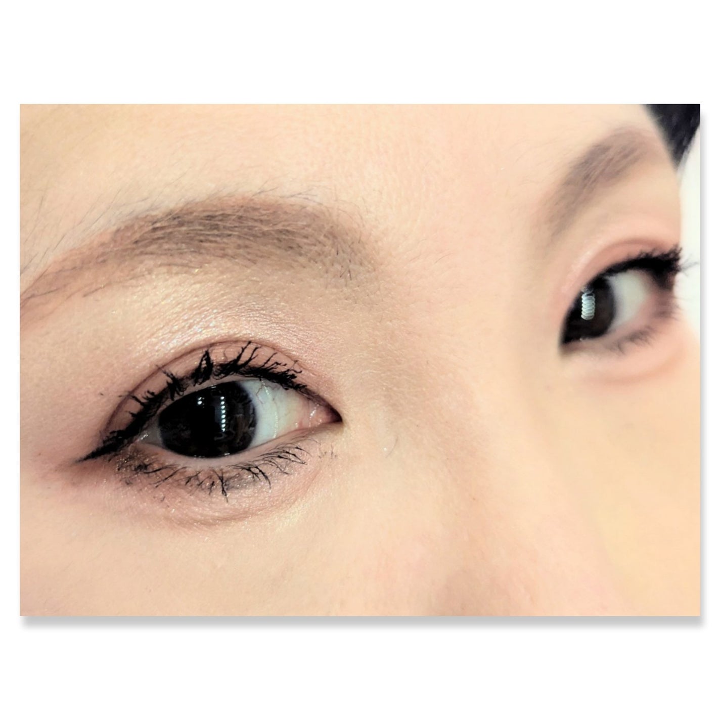 シャドーフラッシュ /MAJOLICA MAJORCA/アイシャドウパレットを使ったクチコミ(2枚目)