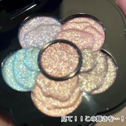 チアリー カラーズ フォー アイズ/MARY QUANT/アイシャドウパレットを使ったクチコミ(4枚目)