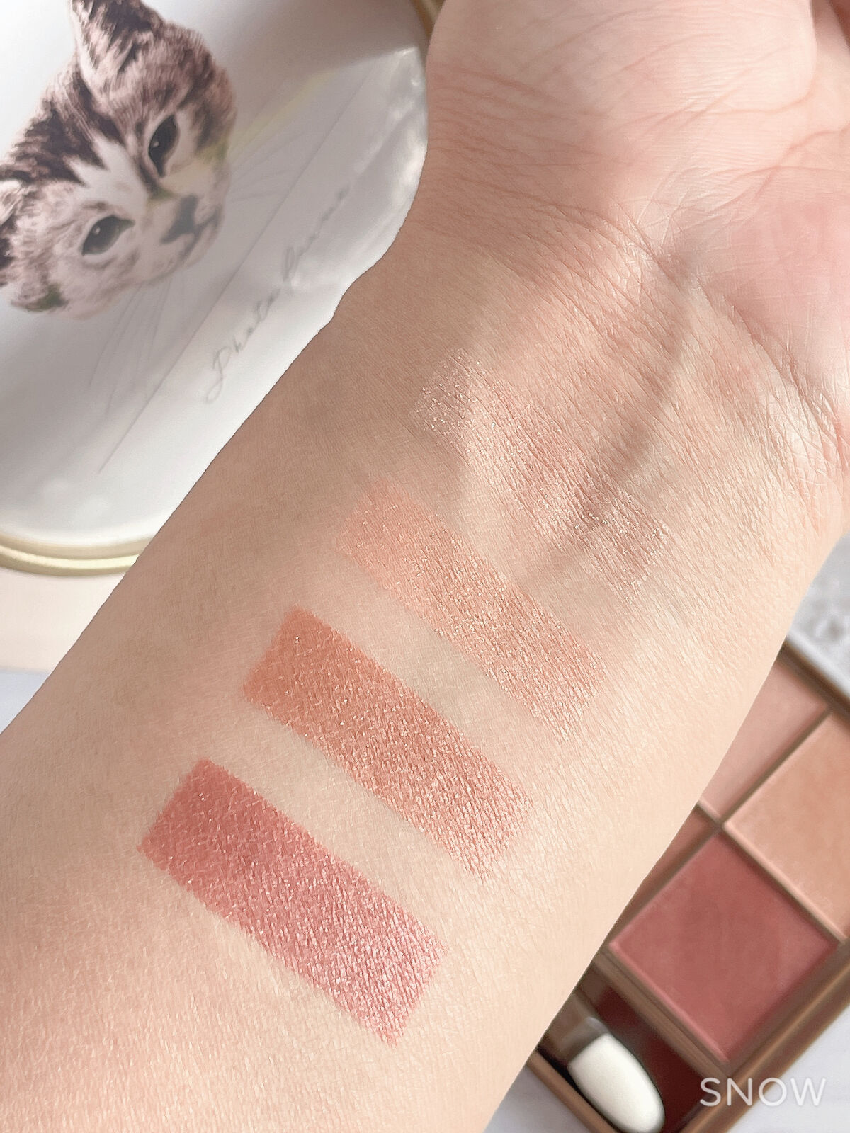 ニュアンスオンアイシャドウ/CEZANNE/アイシャドウパレットを使ったクチコミ（3枚目）