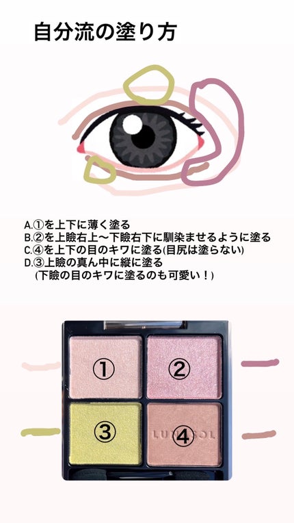 アイカラーレーション/LUNASOL/アイシャドウパレットを使ったクチコミ(5枚目)