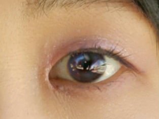 アニマルアイシャドウ(4シェード)/ZEESEA/アイシャドウパレットを使ったクチコミ（3枚目）