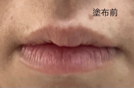 UV モイスチュア リップクリーム/DHC/リップクリームを使ったクチコミ(2枚目)