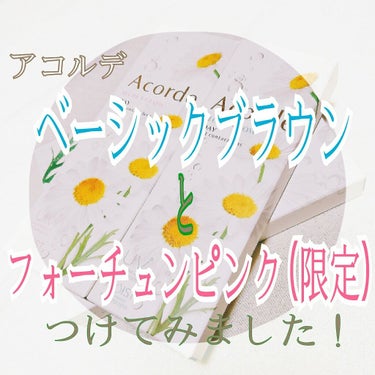 Acorde（アコルデ） ブライトブラウン(デイリーシリーズ)/Acorde/カラーコンタクトレンズを使ったクチコミ（1枚目）