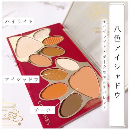 トラ十色アイシャドウパレット/COLORKEY/アイシャドウパレットを使ったクチコミ(2枚目)