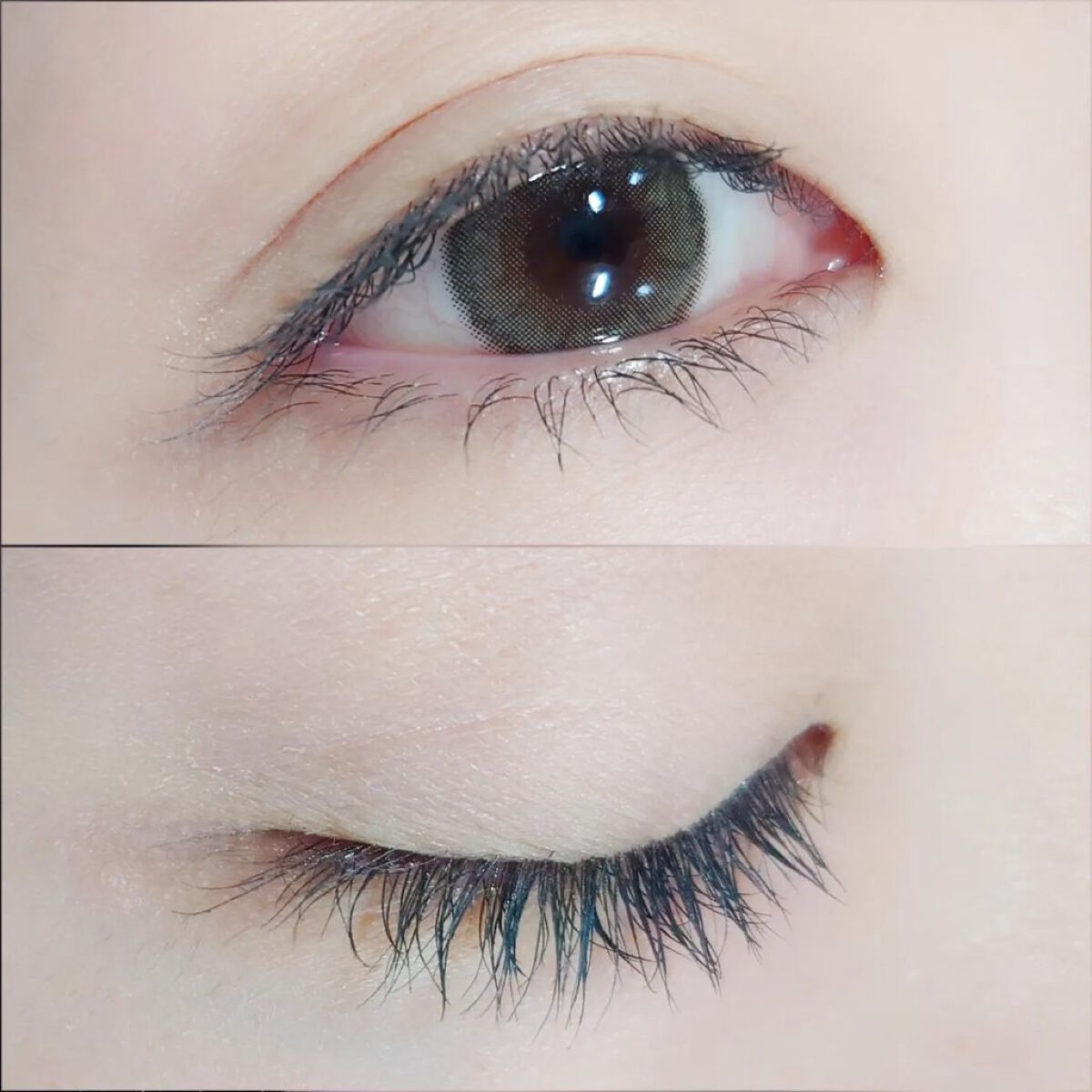 エテュセ アイエディション(マスカラ) G グロッシータイプ グロッシータイプ G03 フォギーグリーン/ettusais/マスカラを使ったクチコミ（3枚目）