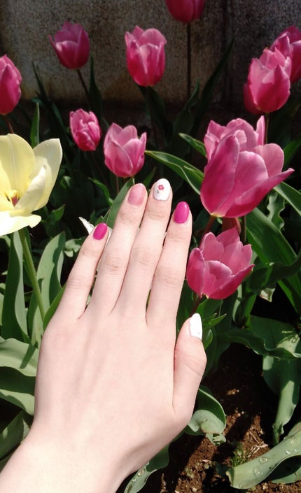 マーメイドポーションネイル/キャンドゥ/マニキュアを使ったクチコミ(2枚目)