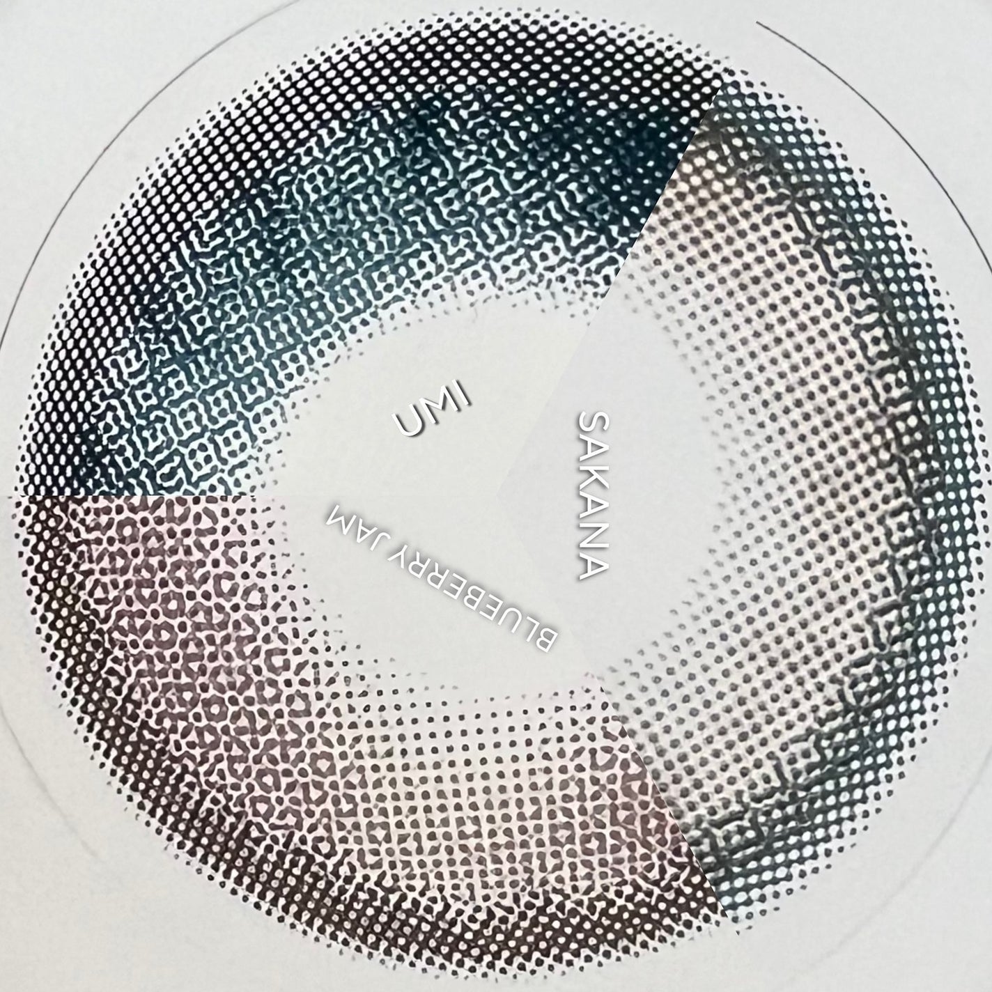 N’s COLLECTION 1day/N’s COLLECTION/ワンデー(1DAY)カラコンを使ったクチコミ(4枚目)