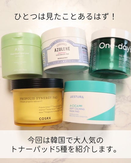 ハイポアレジェニック シカ レスキューガーゼパッド/Dermatory/シートマスク・パックを使ったクチコミ(2枚目)