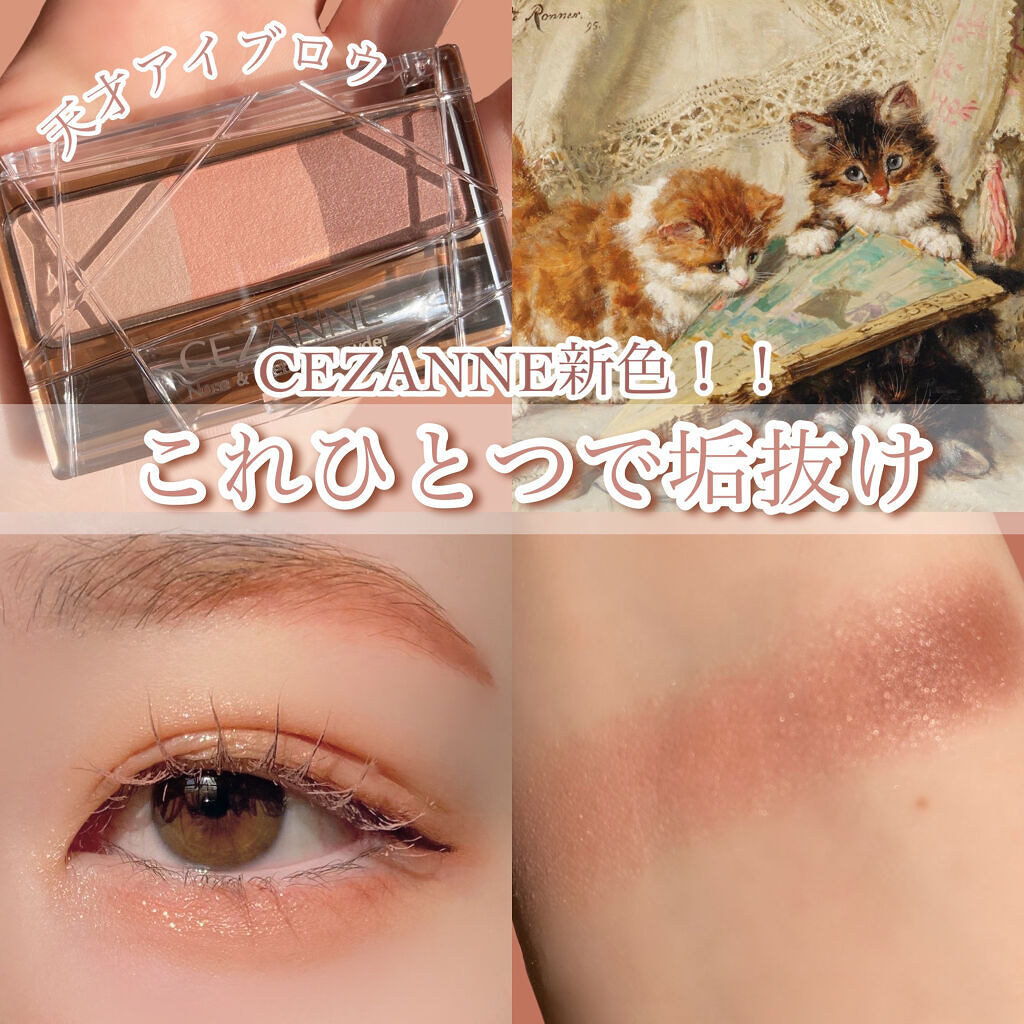 ノーズ＆アイブロウパウダー 05コーラルブラウン/CEZANNE/パウダーアイブロウを使ったクチコミ（1枚目）