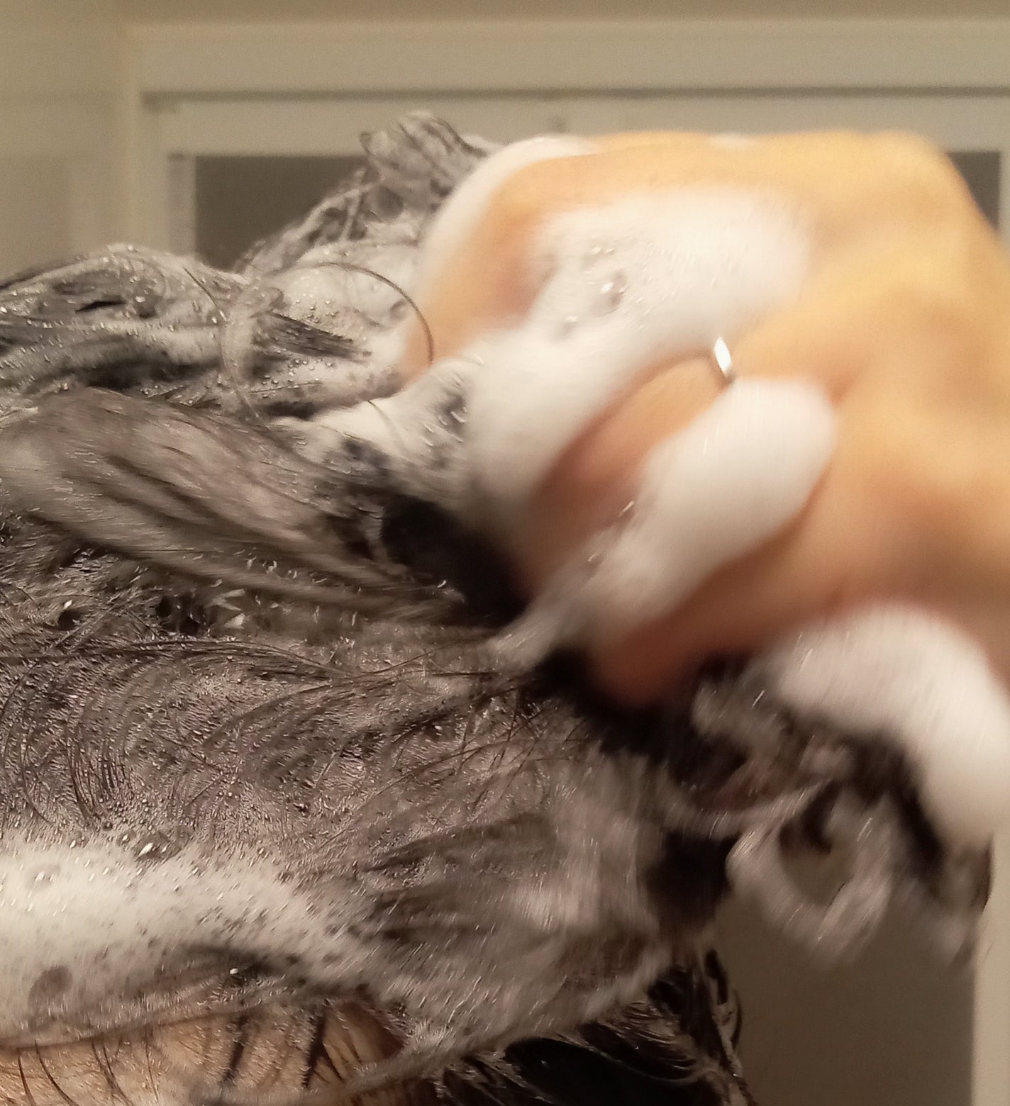 ポスプ プレミアムシャンプー/プレミアムトリートメント/posup/市販シャンプーを使ったクチコミ(3枚目)