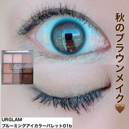 ブルーミングアイカラーパレット (TOKYO GIRLS COLLECTION)/U R GLAM/アイシャドウパレットを使ったクチコミ(1枚目)