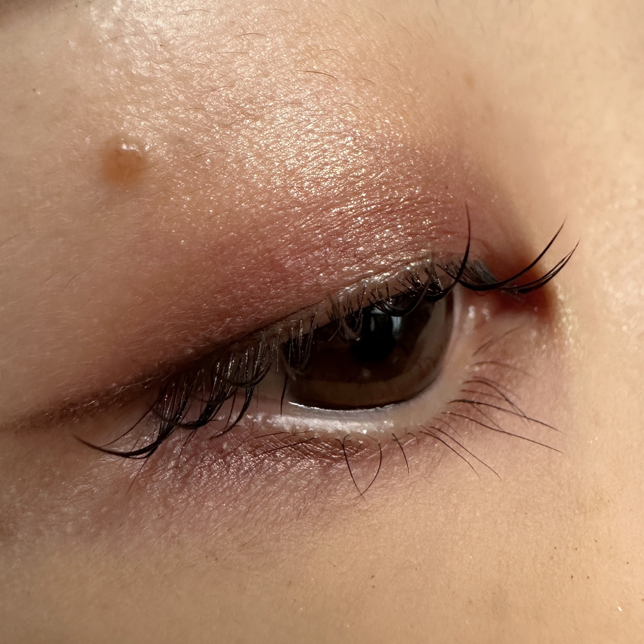 アディクション ザ アイシャドウ パール/ADDICTION/単色アイシャドウを使ったクチコミ（3枚目）