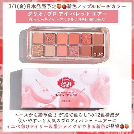 プロ アイ パレット エアー/CLIO/アイシャドウパレットを使ったクチコミ(2枚目)