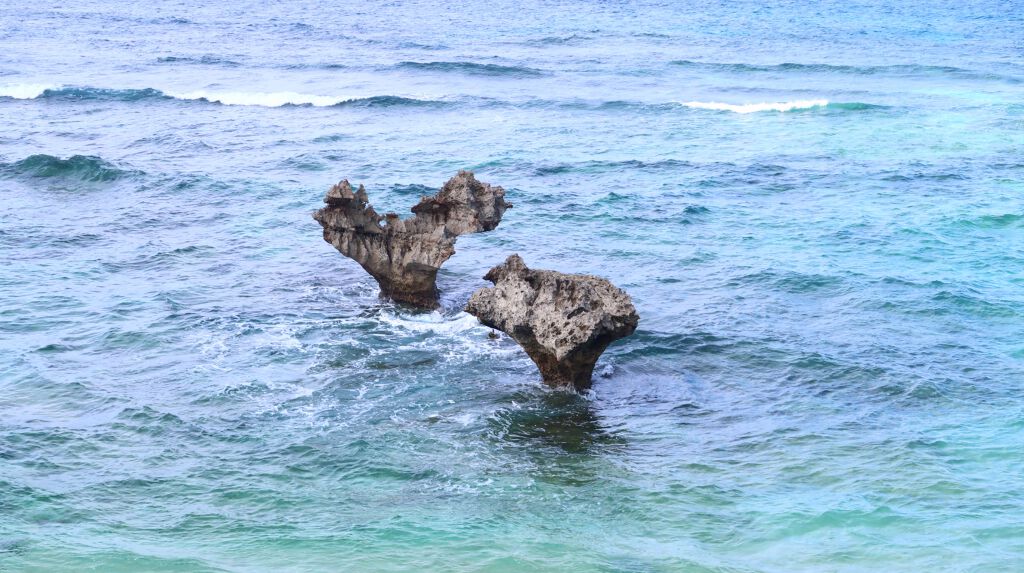 シルキースフレアイズ(マットタイプ)/キャンメイク/アイシャドウパレットを使ったクチコミ(5枚目)