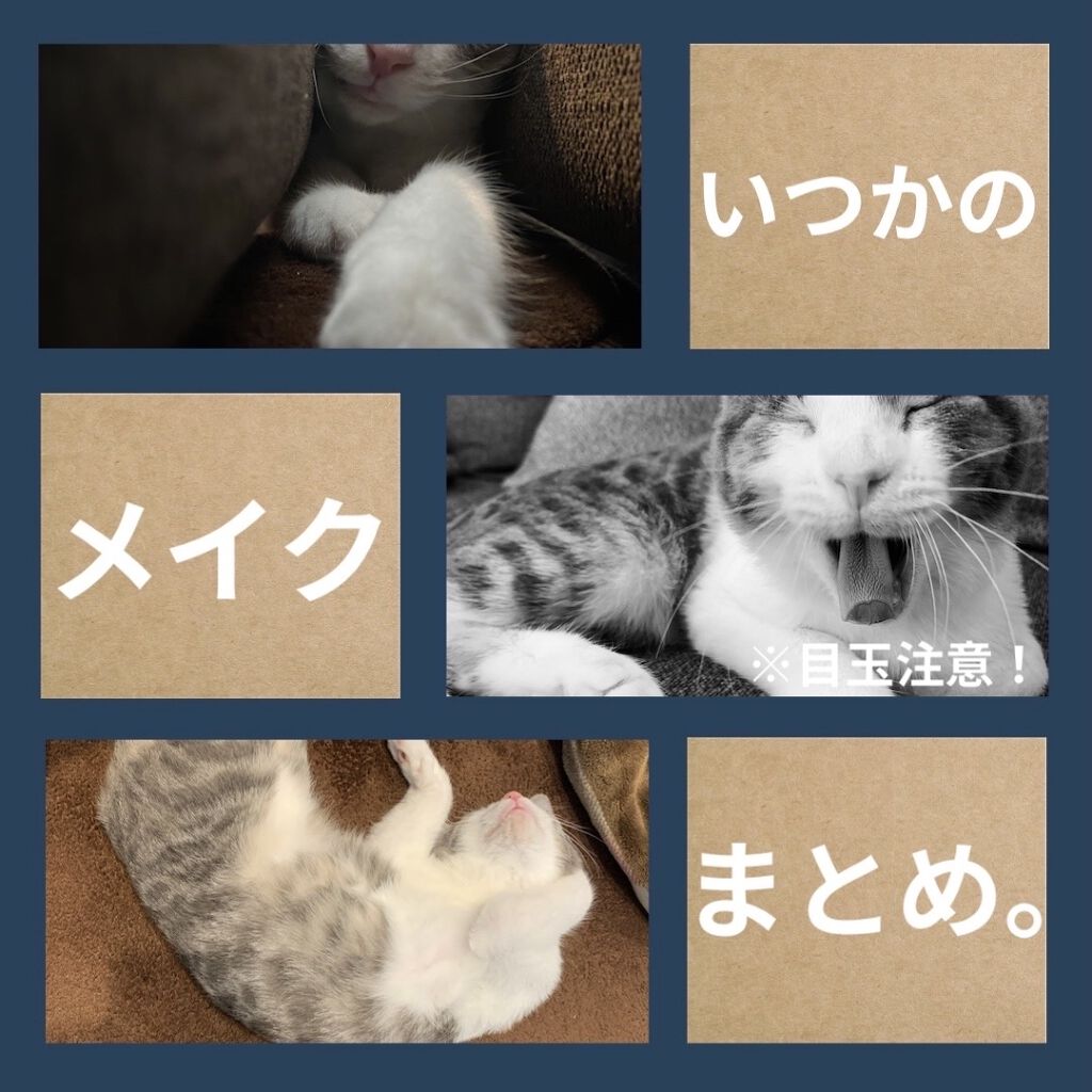 【旧】サンク クルール クチュール/Dior/アイシャドウパレットを使ったクチコミ（1枚目）