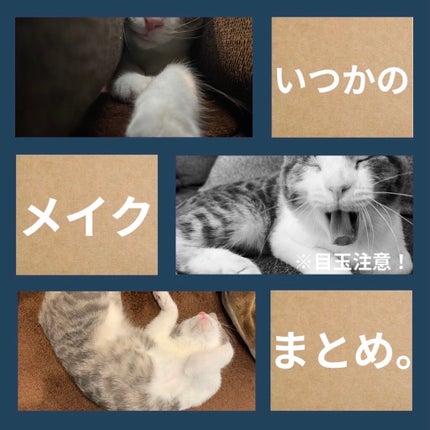 シグニチャー カラー アイズ/SUQQU/アイシャドウパレットを使ったクチコミ(1枚目)