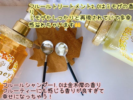 アンドハニー フルール シャンプー1.0 /アンドハニー フルール トリートメント2.0/&honey/市販シャンプーを使ったクチコミ(2枚目)