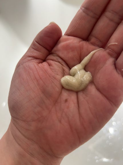 ラミナリア アンプル クレンジングフォーム/ShionLe/洗顔フォームを使ったクチコミ(2枚目)