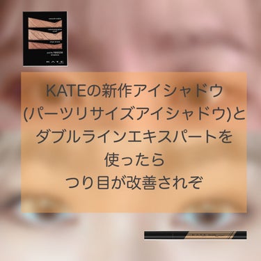 パーツリサイズシャドウ/KATE/アイシャドウパレットを使ったクチコミ（1枚目）