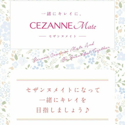 ナチュラル チークN/CEZANNE/パウダーチークを使ったクチコミ(6枚目)