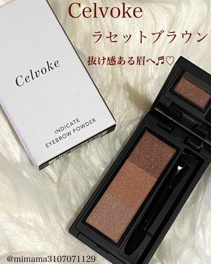 セルヴォーク インディケイトアイブロウパウダー/Celvoke/パウダーアイブロウを使ったクチコミ(1枚目)