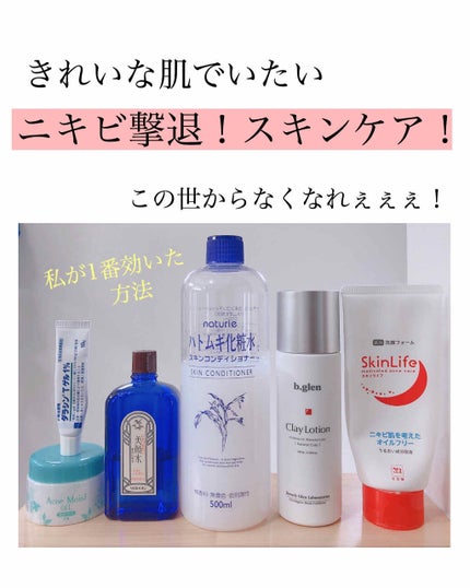 ハトムギ化粧水(ナチュリエ スキンコンディショナー R )/ナチュリエ/化粧水を使ったクチコミ(1枚目)