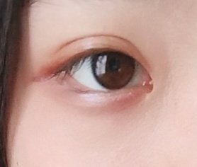 シルキースフレアイズ（マットタイプ）/キャンメイク/アイシャドウパレットを使ったクチコミ（1枚目）