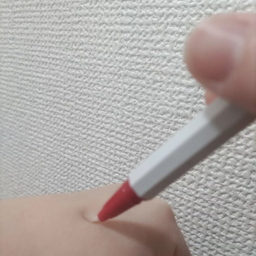 アクセントパールライナー/MICHIKO.LIFE/リキッドアイライナーを使ったクチコミ（2枚目）