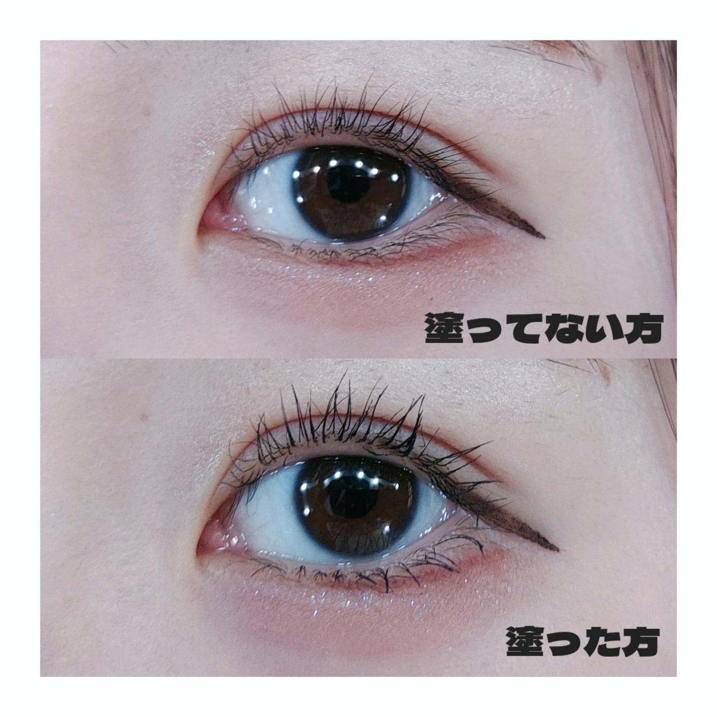 ウォンジョンヨ ヌードアイラッシュ/Wonjungyo/マスカラを使ったクチコミ(4枚目)