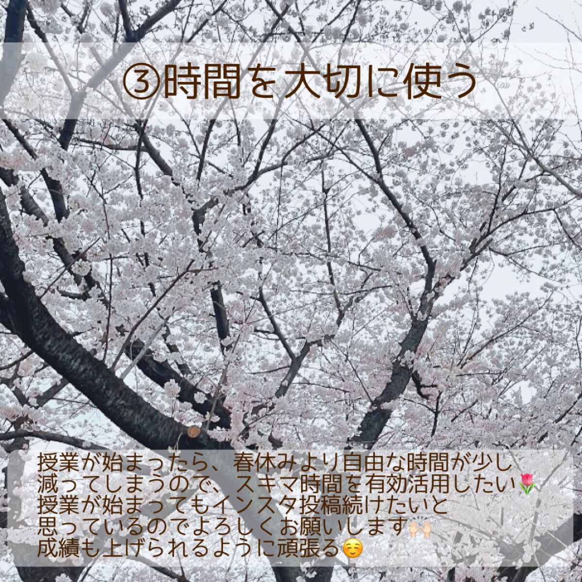 まな୨୧美容好き大学生の自分磨き記録 on LIPS 「今日は少し遅くなってしまったけど、私の4月の目標を紹介します🤍..」(4枚目)