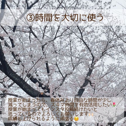 まな୨୧美容好き大学生の自分磨き記録 on LIPS 「今日は少し遅くなってしまったけど、私の4月の目標を紹介します🤍..」(4枚目)