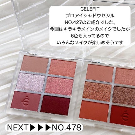 プロアイシャドウパレットセシル/CELEFIT/アイシャドウパレットを使ったクチコミ(5枚目)