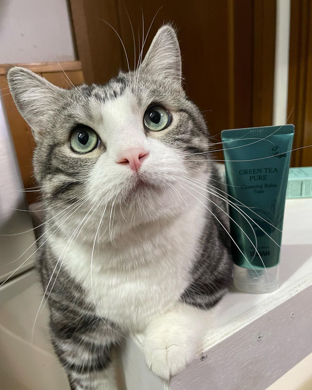 グリーンティーピュアクレンジングバームチューブ/YADAH/クレンジングバームを使ったクチコミ（1枚目）