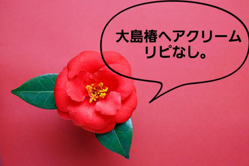 ヘアクリーム しっとり/大島椿/ヘアワックス・クリームを使ったクチコミ（1枚目）