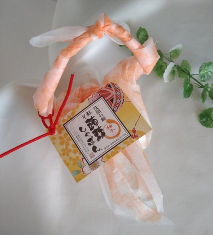 京都 柚子/京都 蒟蒻しゃぼん/洗顔石鹸を使ったクチコミ(2枚目)