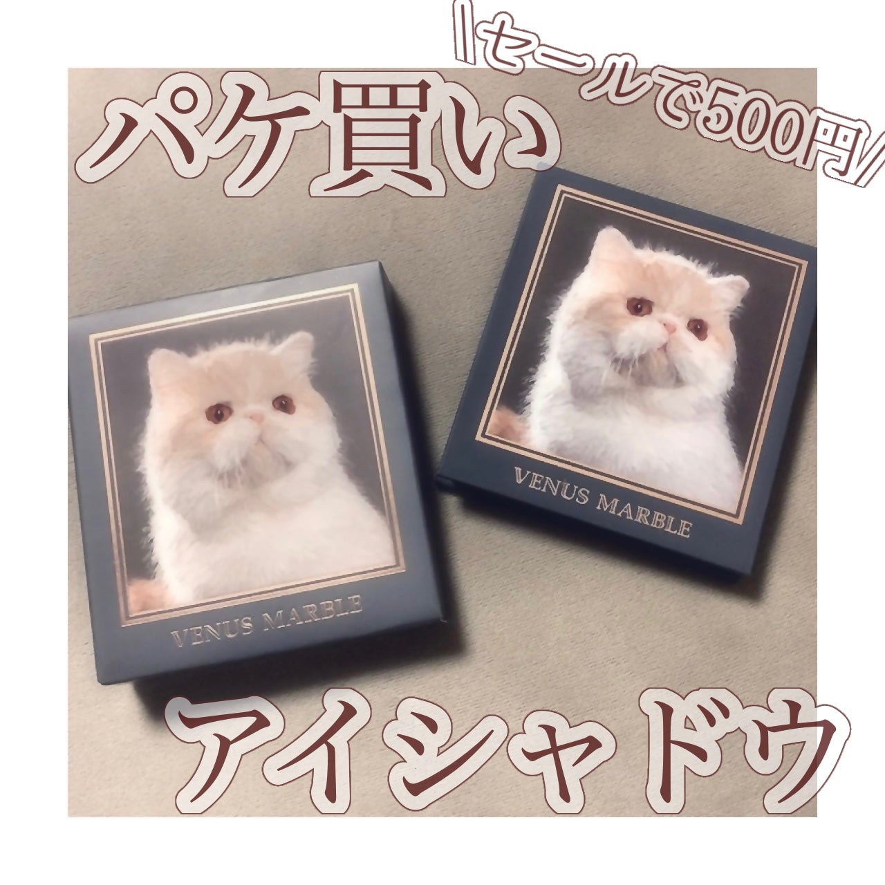 Venus Marble アイシャドウキャットシリーズ/Venus Marble/アイシャドウパレットを使ったクチコミ(1枚目)