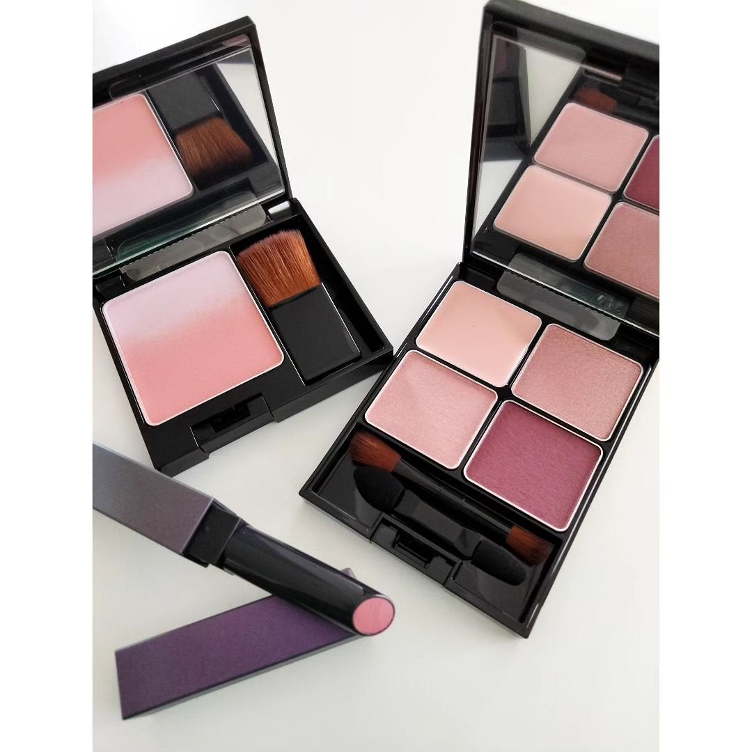 B.A カラーズ コレクティッド カラースティック リップカラー・ブラッシュ/B.A/口紅を使ったクチコミ(1枚目)