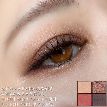 アイカラーレーション/LUNASOL/アイシャドウパレットを使ったクチコミ(6枚目)