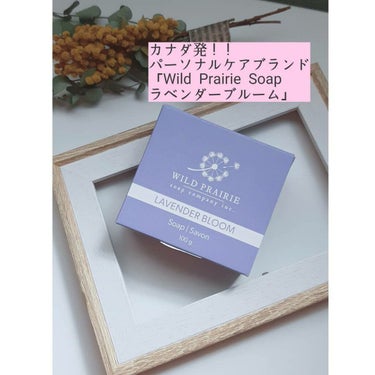 石けんラベンダーブルーム/Wild Prairie Soap/洗顔石鹸を使ったクチコミ（1枚目）