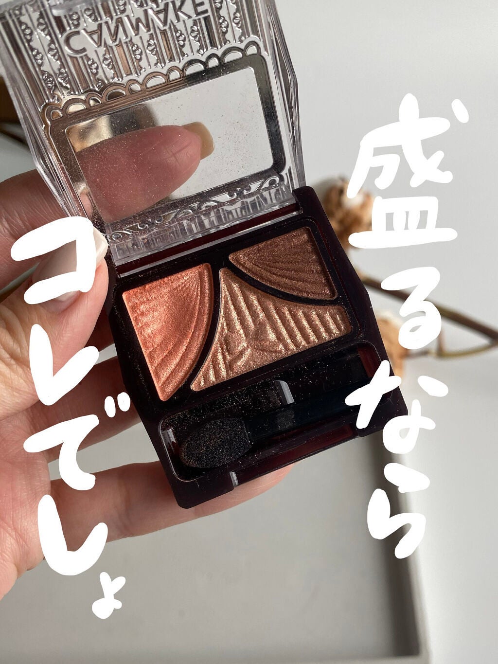 ジューシーピュアアイズ/キャンメイク/アイシャドウパレットを使ったクチコミ(1枚目)