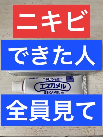 エスカメル(医薬品)/佐藤製薬/その他を使ったクチコミ(1枚目)