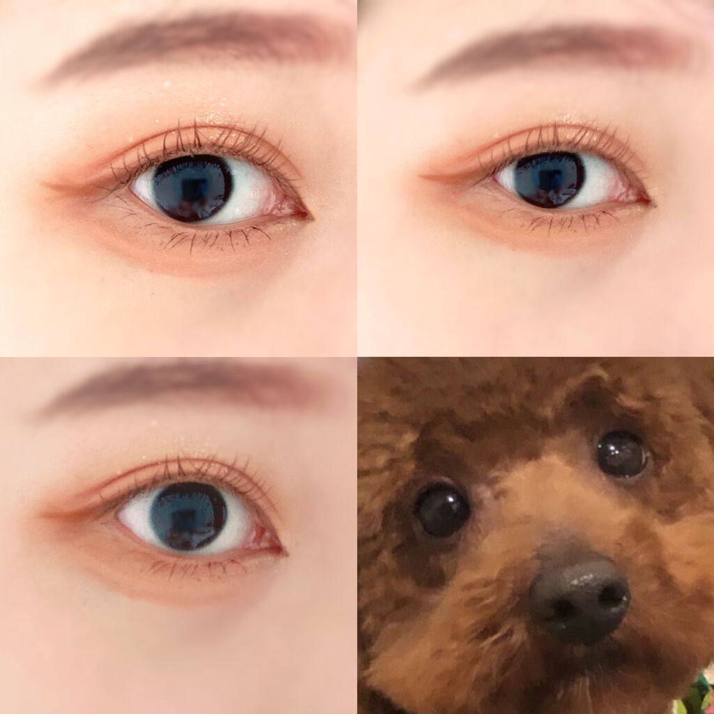 描くふたえアイライナー/CEZANNE/リキッドアイライナーを使ったクチコミ（2枚目）