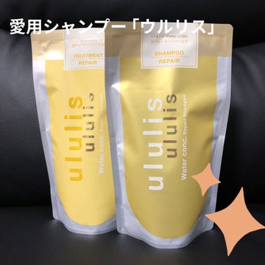 ウォーターコンク リペアシャンプー/ヘアトリートメント/ululis/シャンプー・コンディショナーを使ったクチコミ（1枚目）