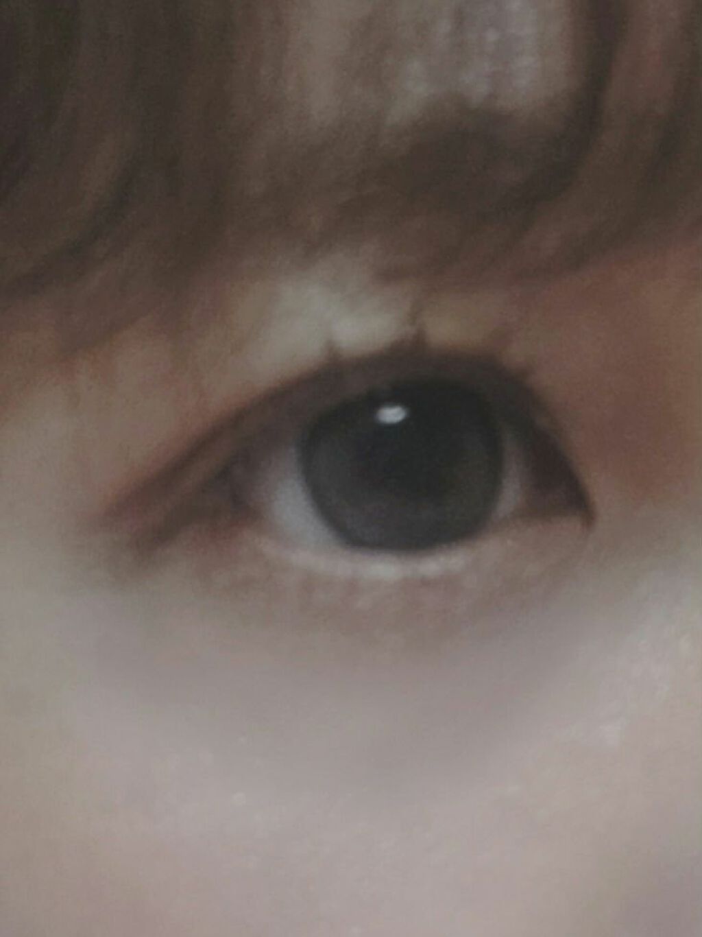 Love Bear 9色 アイシャドウパレット レッドビーンミルクティー/FlowerKnows/アイシャドウパレットを使ったクチコミ（3枚目）