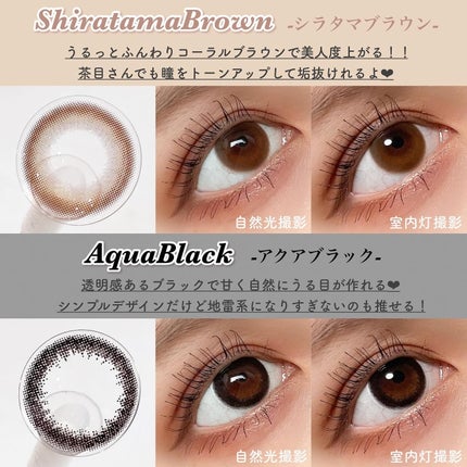 eye closet AQUA MOIST UV 1day アクアブラウン/EYE CLOSET/ワンデー(1DAY)カラコンの画像
