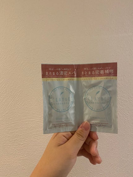 シャンプー/トリートメントR /CLAYGE/シャンプー・コンディショナーを使ったクチコミ(1枚目)