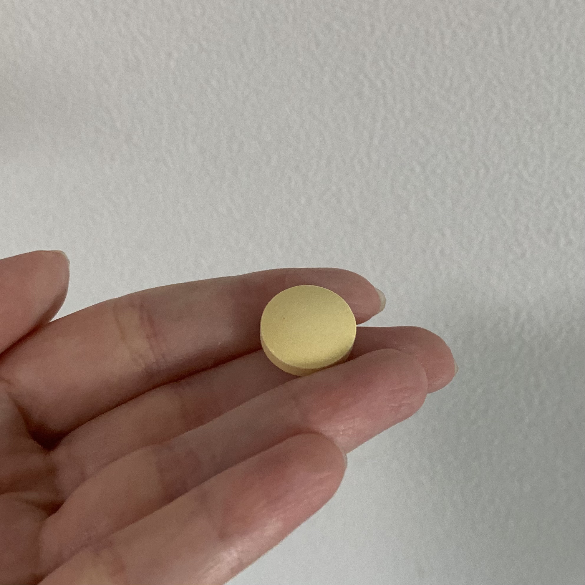 毎日葉酸+鉄これ1粒/ビーンスタークマム/健康サプリメントを使ったクチコミ（2枚目）