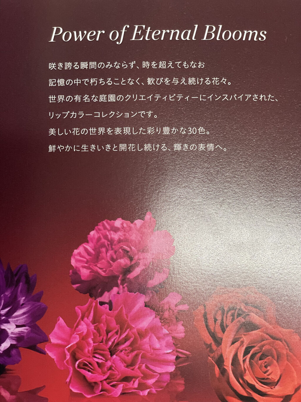 ルージュアレーブルｎ/クレ・ド・ポー ボーテ/口紅を使ったクチコミ（3枚目）