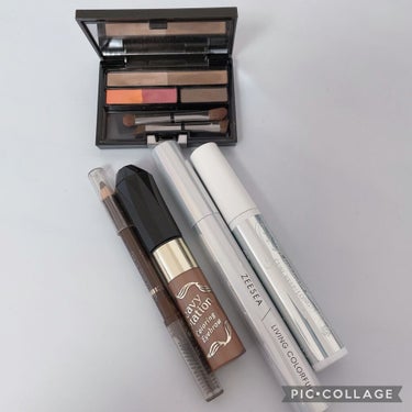 ナーズイスト ウォンテッド アイシャドーパレット/NARS/アイシャドウパレットを使ったクチコミ（5枚目）